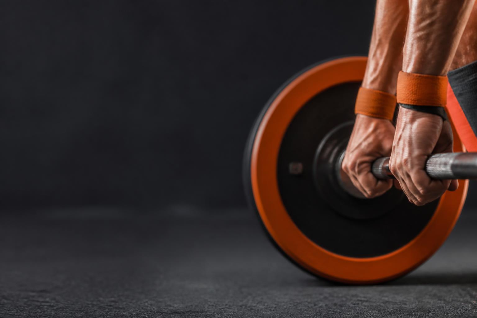 Spor Salonu & Fitness temalı görsel